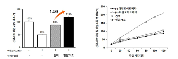 ‘밀양74호’의 아밀로이드베타에 대한 신경세포 보호 효과 확인(제공=농진청)