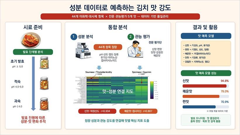 직접 맛 안 봐도 안다…세계김치연구소, 성분 데이터로 ‘김치 5대 맛’ 정밀 예측