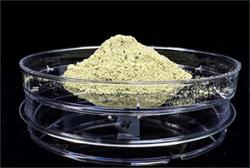 혈당 강하 ‘누에 분말’, 기능성표시식품 옷입고 日 수출길 올라