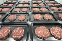 마블링에 식감 살린 배양육 개발…가격 한우의 절반